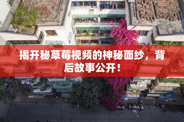 揭开秘草莓视频的神秘面纱，背后故事公开！
