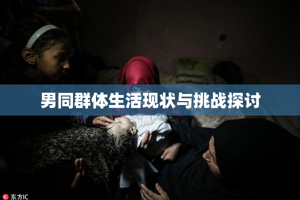男同群体生活现状与挑战探讨