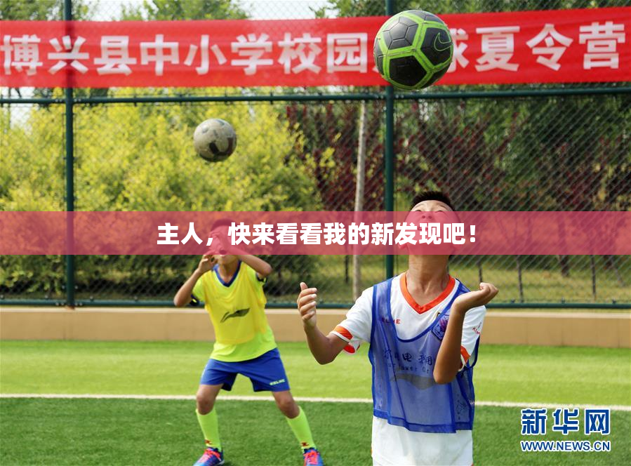 主人，快来看看我的新发现吧！