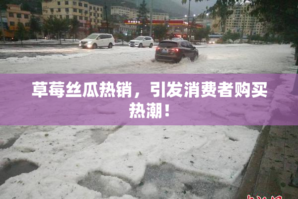 草莓丝瓜热销，引发消费者购买热潮！
