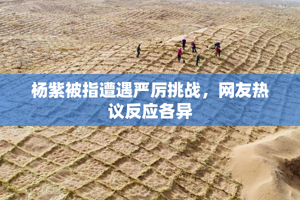 杨紫被指遭遇严厉挑战，网友热议反应各异