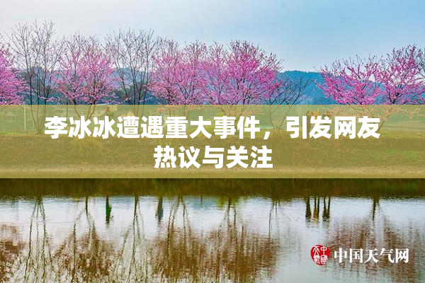 李冰冰遭遇重大事件，引发网友热议与关注