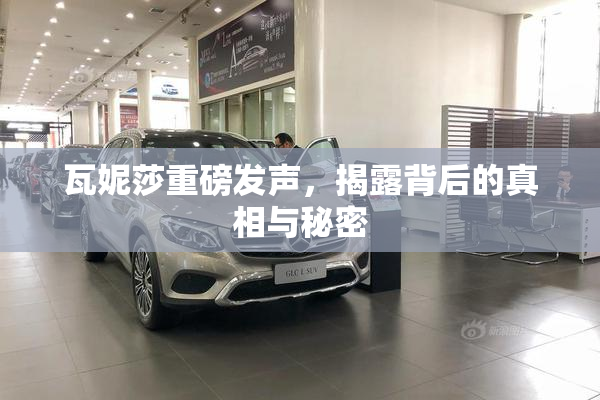 瓦妮莎重磅发声，揭露背后的真相与秘密