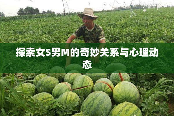 探索女S男M的奇妙关系与心理动态