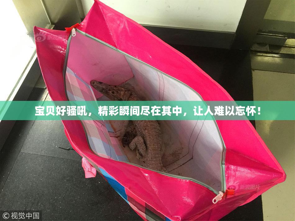 宝贝好骚吼，精彩瞬间尽在其中，让人难以忘怀！