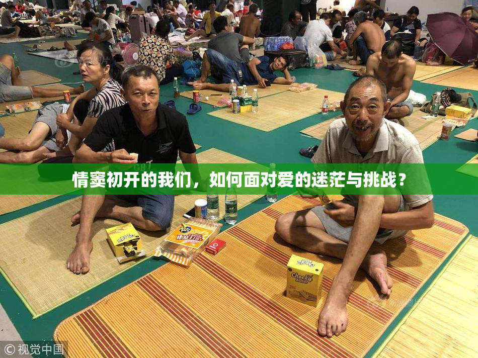 情窦初开的我们，如何面对爱的迷茫与挑战？