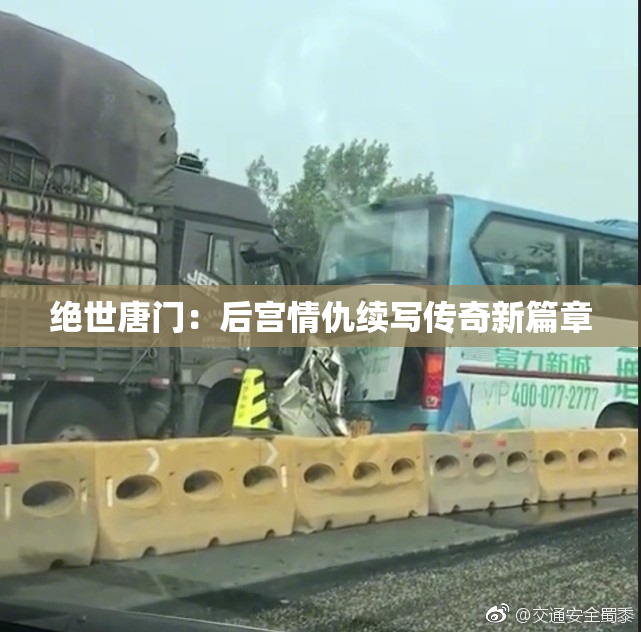 绝世唐门：后宫情仇续写传奇新篇章