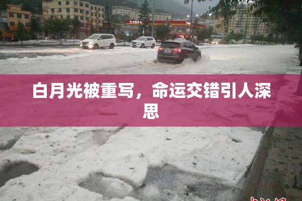 白月光被重写，命运交错引人深思