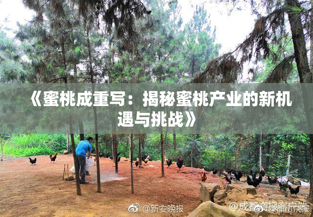 《蜜桃成重写：揭秘蜜桃产业的新机遇与挑战》