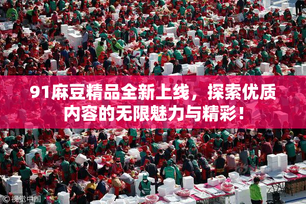 91麻豆精品全新上线，探索优质内容的无限魅力与精彩！