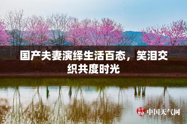 国产夫妻演绎生活百态，笑泪交织共度时光