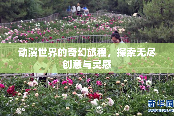 动漫世界的奇幻旅程，探索无尽创意与灵感