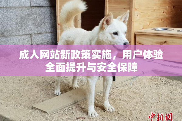 成人网站新政策实施，用户体验全面提升与安全保障