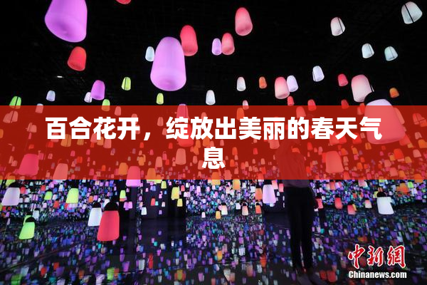 百合花开，绽放出美丽的春天气息