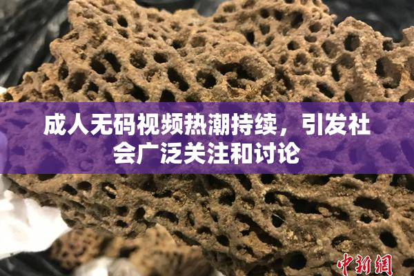 成人无码视频热潮持续，引发社会广泛关注和讨论