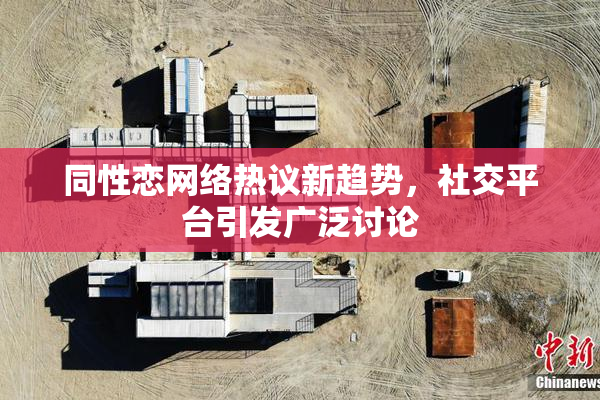 同性恋网络热议新趋势，社交平台引发广泛讨论