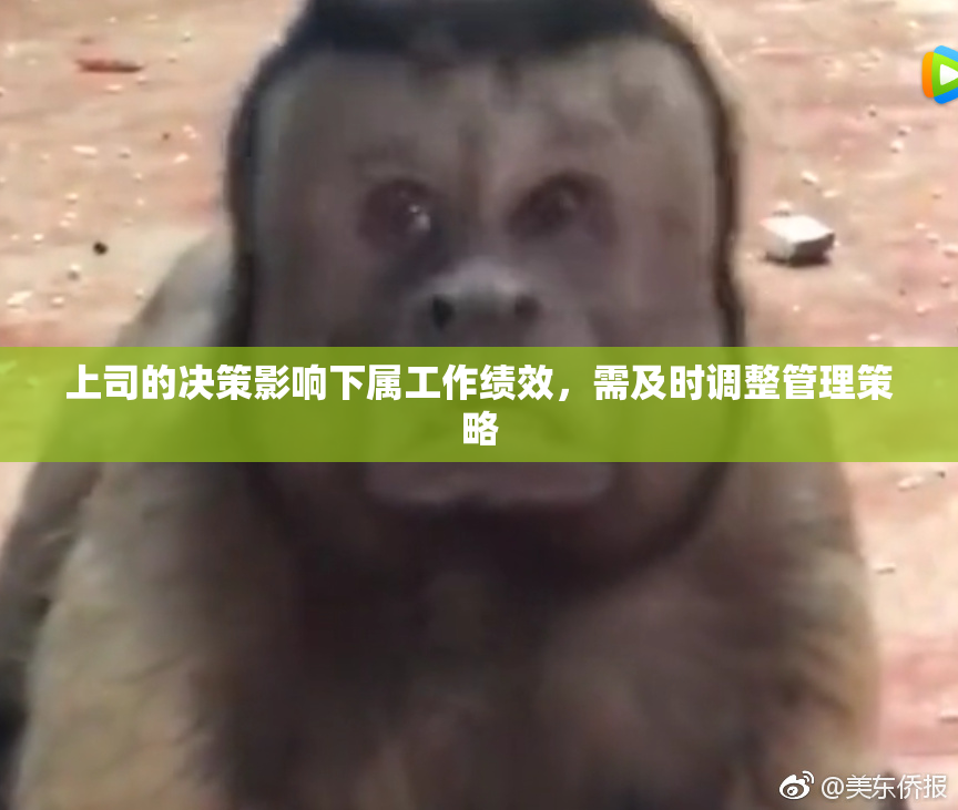 上司的决策影响下属工作绩效，需及时调整管理策略