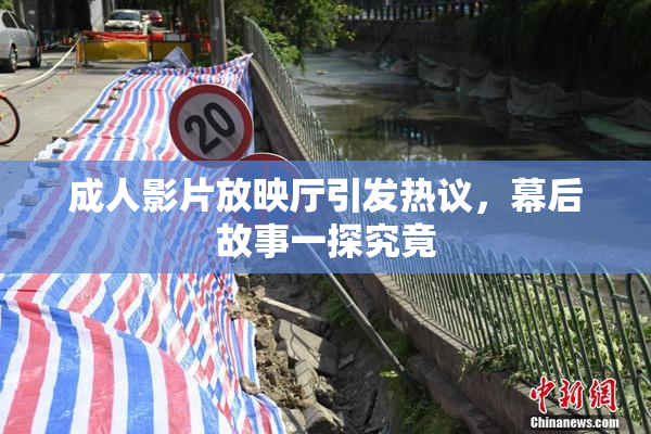 成人影片放映厅引发热议，幕后故事一探究竟