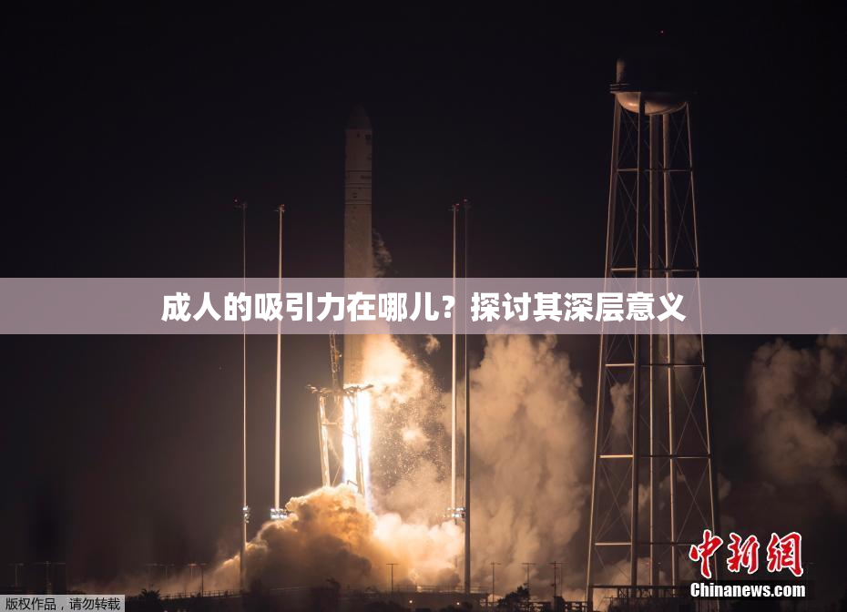 成人的吸引力在哪儿？探讨其深层意义