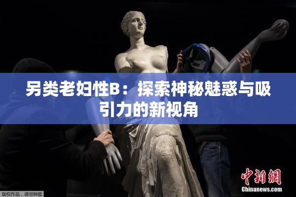 另类老妇性B：探索神秘魅惑与吸引力的新视角
