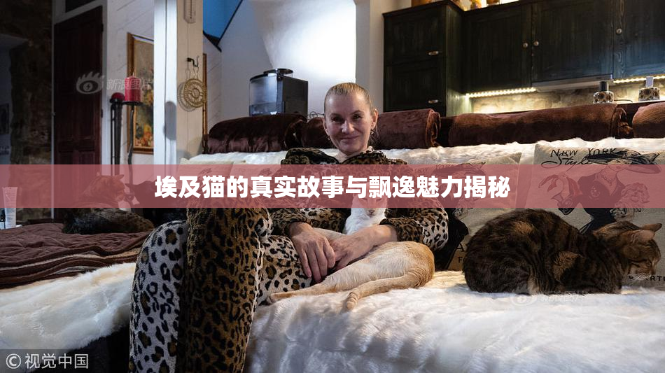 埃及猫的真实故事与飘逸魅力揭秘