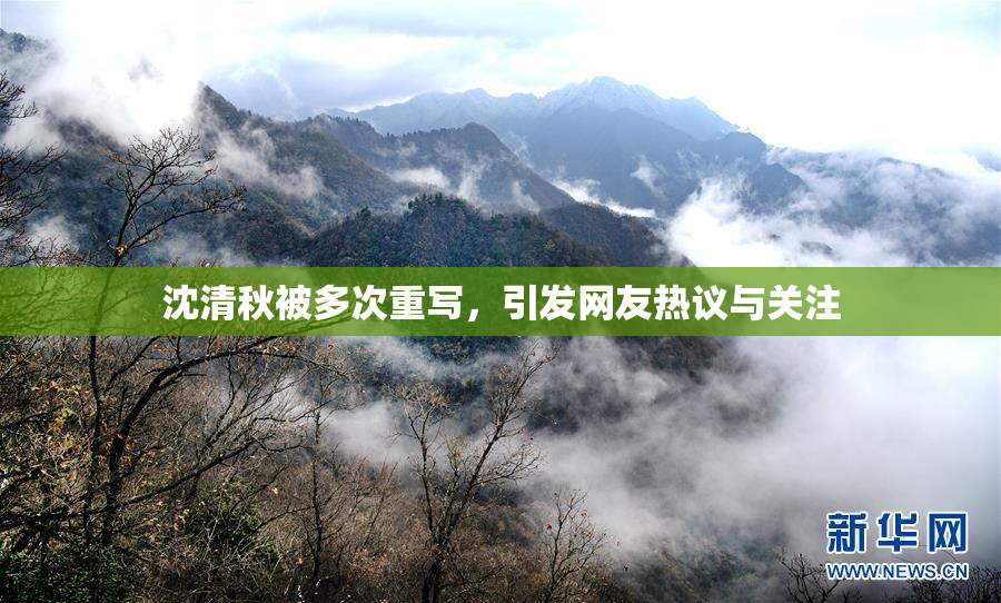 沈清秋被多次重写，引发网友热议与关注