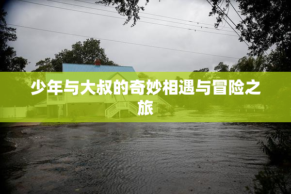 少年与大叔的奇妙相遇与冒险之旅