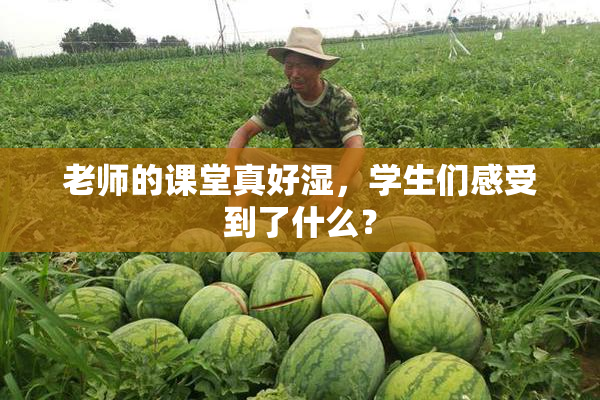 老师的课堂真好湿，学生们感受到了什么？