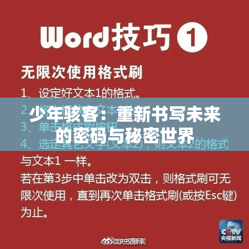 少年骇客：重新书写未来的密码与秘密世界