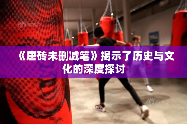 《唐砖未删减笔》揭示了历史与文化的深度探讨