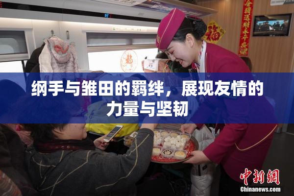 纲手与雏田的羁绊，展现友情的力量与坚韧