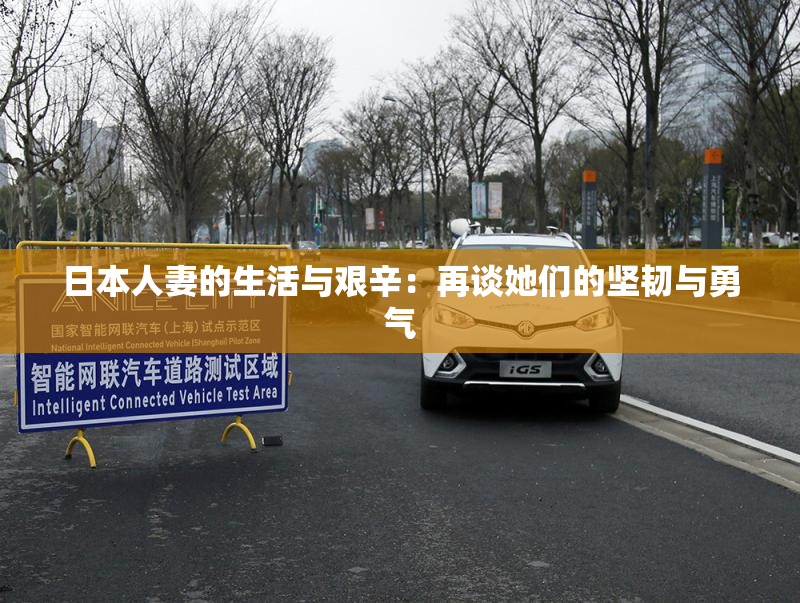 日本人妻的生活与艰辛：再谈她们的坚韧与勇气