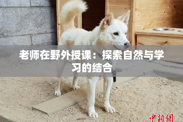 老师在野外授课：探索自然与学习的结合