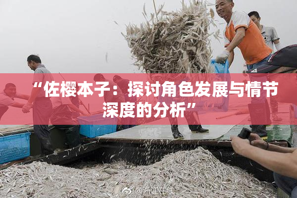 “佐樱本子：探讨角色发展与情节深度的分析”