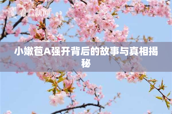 小嫩苞A强开背后的故事与真相揭秘