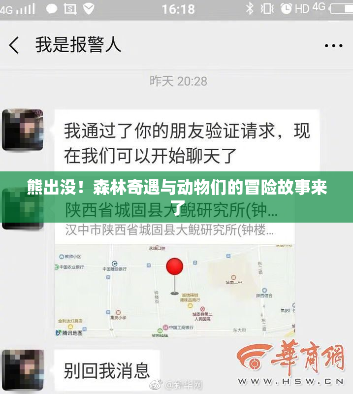熊出没！森林奇遇与动物们的冒险故事来了
