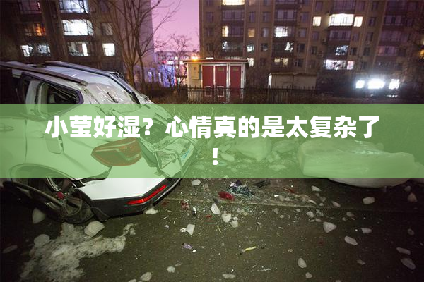 小莹好湿？心情真的是太复杂了！