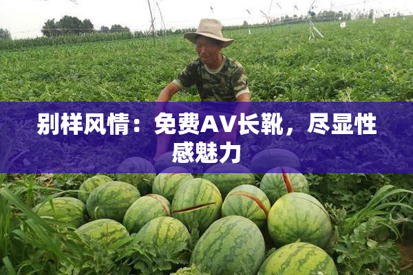 别样风情：免费AV长靴，尽显性感魅力