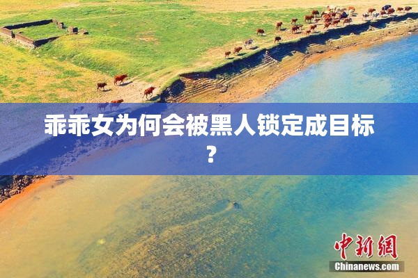 乖乖女为何会被黑人锁定成目标？