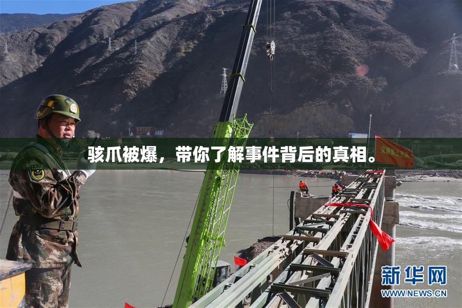 骇爪被爆，带你了解事件背后的真相。
