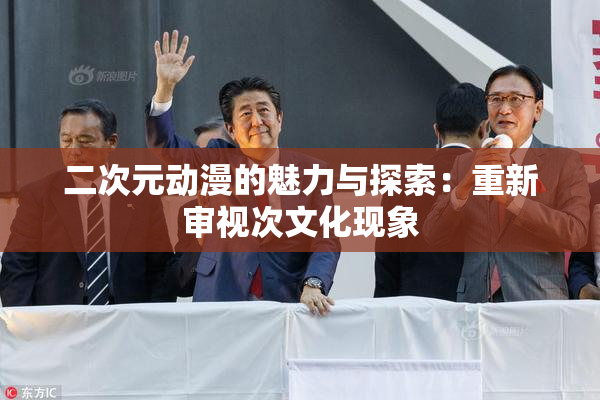 二次元动漫的魅力与探索：重新审视次文化现象