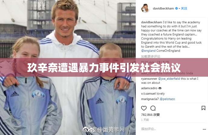 玖辛奈遭遇暴力事件引发社会热议