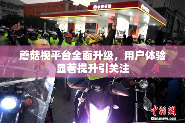 蘑菇视平台全面升级，用户体验显著提升引关注