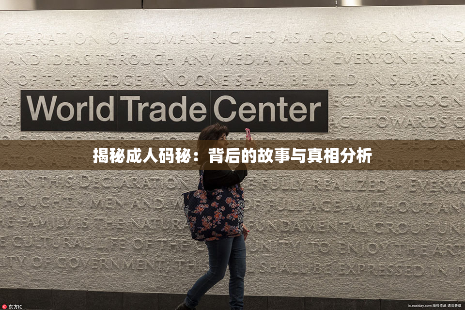 揭秘成人码秘：背后的故事与真相分析