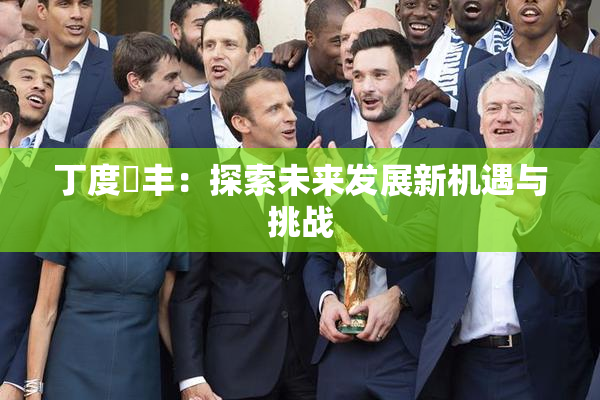 丁度巜丰：探索未来发展新机遇与挑战