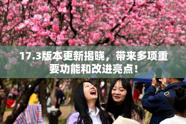 17.3版本更新揭晓，带来多项重要功能和改进亮点！