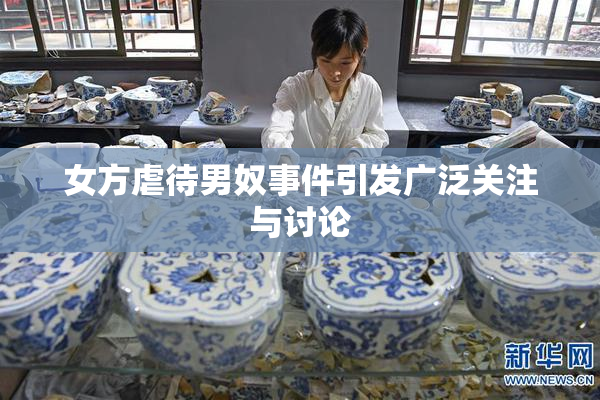 女方虐待男奴事件引发广泛关注与讨论