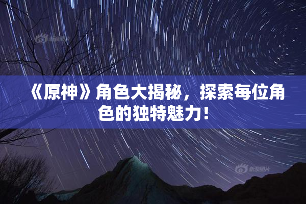 《原神》角色大揭秘，探索每位角色的独特魅力！
