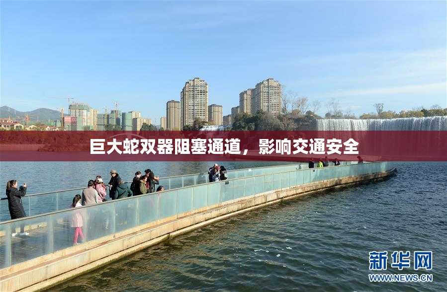 巨大蛇双器阻塞通道，影响交通安全