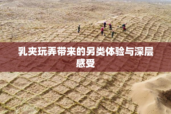 乳夹玩弄带来的另类体验与深层感受